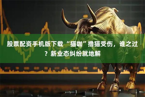 股票配资手机版下载 “猫咖”撸猫受伤，谁之过？新业态纠纷就地解