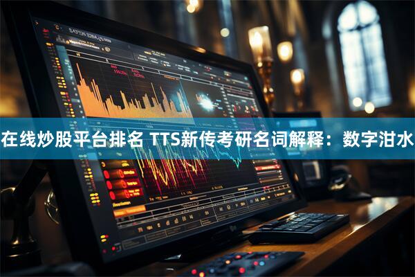 在线炒股平台排名 TTS新传考研名词解释:数字泔水